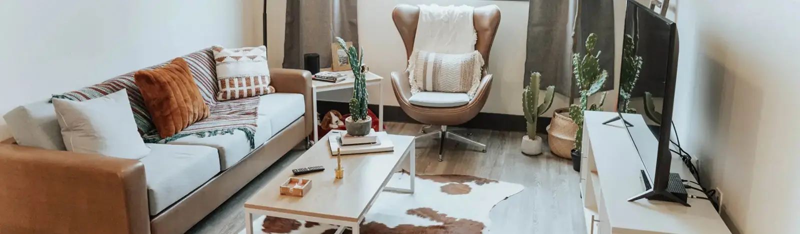 Furnished apartment living room